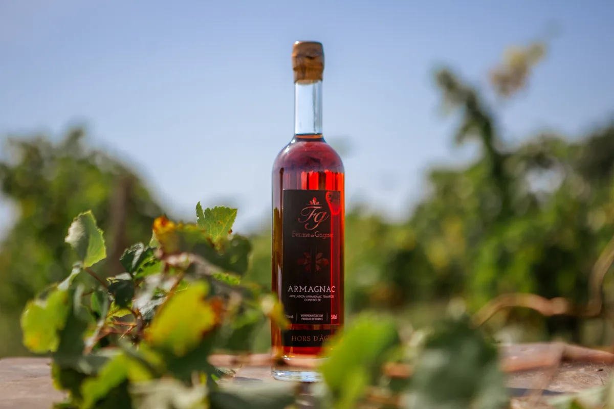 Armagnac Ténarèze Hors d'âge — 50 cl