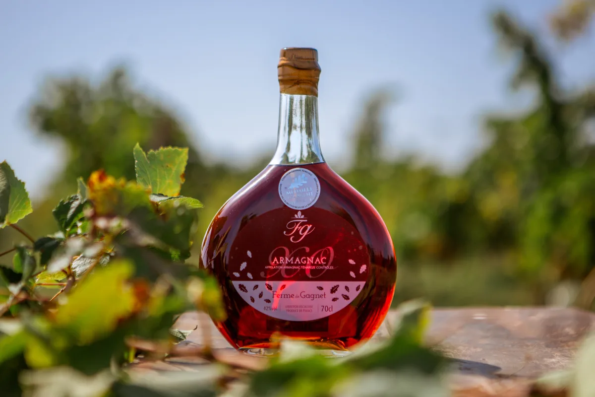 Armagnac Ténarèze XO — 70 cl