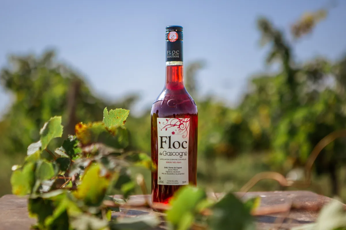 Floc de Gascogne rouge — 75 cl