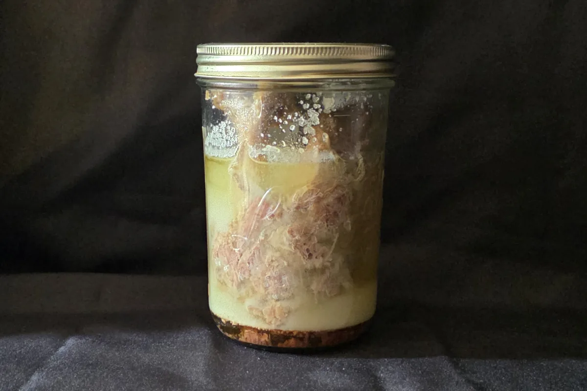 Terrine façon Marielle